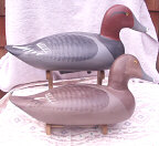 Click here for a larger image of Harry Jobes Oversize Redhead Decoys