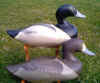 Bob Jobes Antique Style Bluebill Scaup Decoys at Riverside Retreat