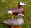 Bob Jobes Antique Style Ruddy Duck Decoys at Riverside Retreat