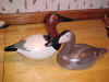 Bob Jobes Limited Edition Canvasback Ward Style Decoys at Riverside Retreat