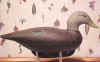 Bob Jobes Limited Edition Black Duck Decoy at Riverside Retreat