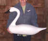 Bob Jobes Premium Style Full Size Swan at Riverside Retreat