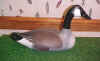 Bob Jobes Half Size Canada Goose Decoy at Riverside Retreat