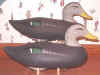 Bob Jobes working Blackduck Decoys at Riverside Retreat