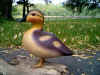 Charles Jobes Duckling at Riverside Retreat
