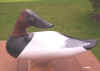 Charles Jobes Canvasback Drake Sleeper Decoy at Riverside Retreat