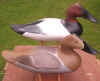 Charles Jobes Canvasback Decoys at Riverside Retreat