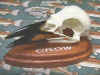 Click here to see the larger picture of Crow skull with display stand.