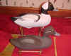 Harry Antique Style Bufflehead Pair