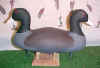 Click here for a larger image of Harry Jobes 2 Headed Coot Decoy