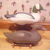 Click here for larger image of Harry Jobes Bufflehead Decoys