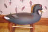 Click here for a larger image of Harry Jobes Coot Decoy