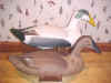 Click here for a larger image of Harry Jobes Eider Decoys