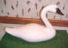Click here for a larger image of Harry Jobes Half Sized Swan Decoy