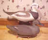 Click here for larger image of Harry Jobes Old Squaw Decoys