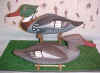 Click here for large picture Harry Jobes Red Breasted Merganser Decoys