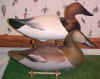 Joey Jobes Canvasback Decoys at Riverside Retreat